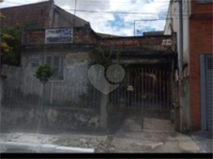 Foto REO805287