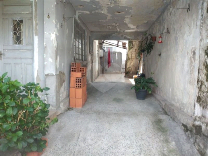 Foto REO805287