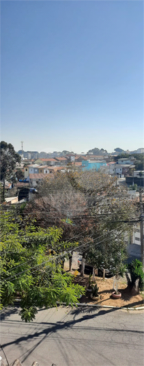 Foto REO805328