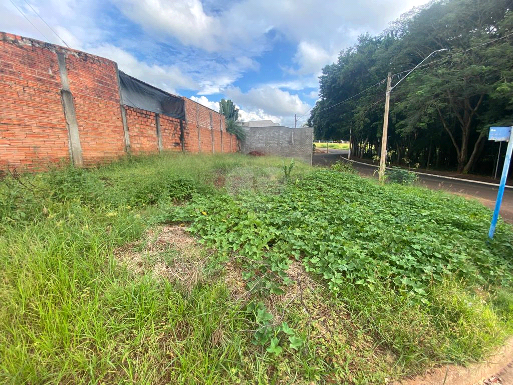 Venda Terreno Lençóis Paulista Jardim Europa REO805419 4