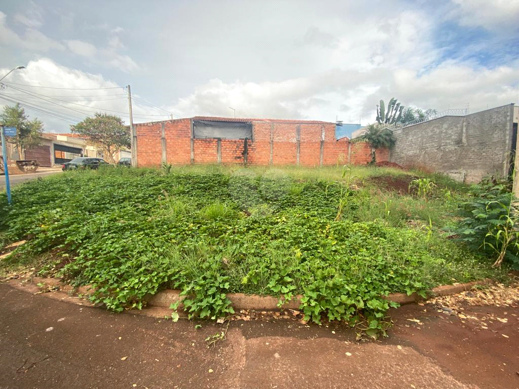 Venda Terreno Lençóis Paulista Jardim Europa REO805419 7