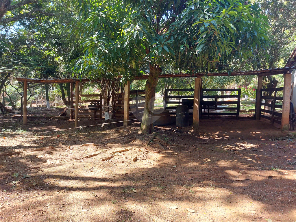 Venda Chácara São João Da Boa Vista Área Rural De São João Da Boa Vista REO805426 36