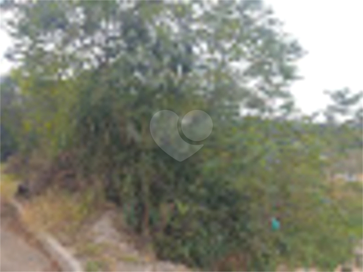 Foto REO805557