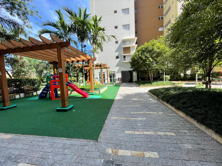 Foto REO806475