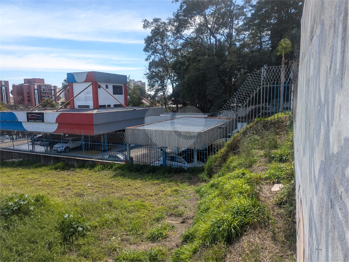 Foto REO806482