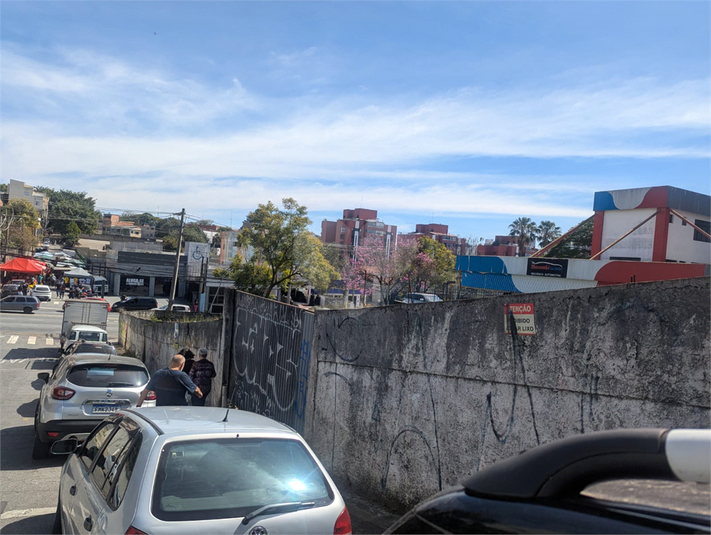 Foto REO806482