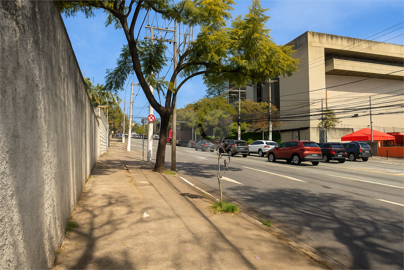 Foto REO806482