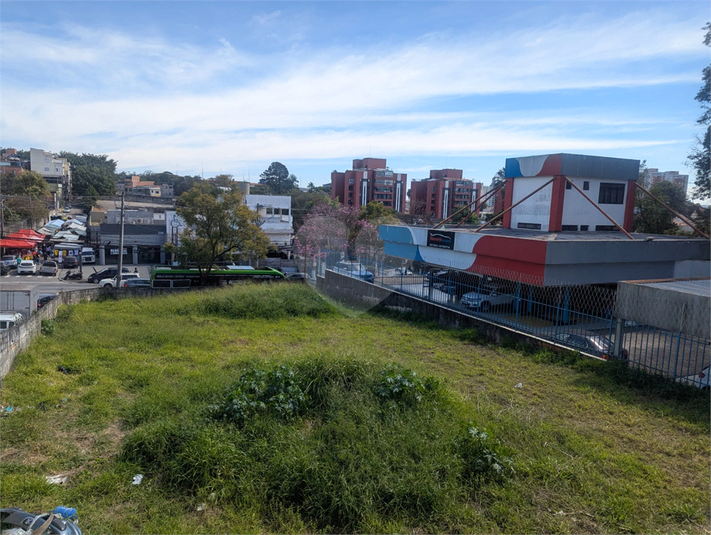Foto REO806482