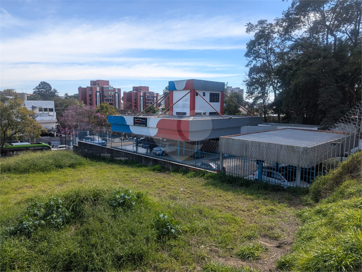 Foto REO806482