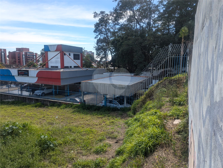 Foto REO806482