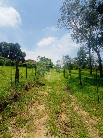 Venda Sítio Porto Feliz Área Rural De Porto Feliz REO806520 33