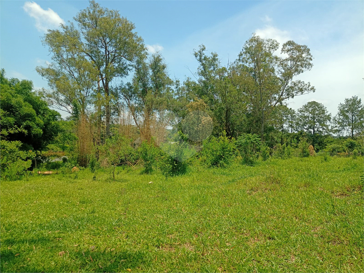 Venda Sítio Porto Feliz Área Rural De Porto Feliz REO806520 27