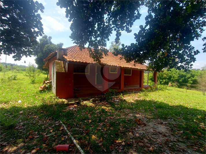 Venda Sítio Porto Feliz Área Rural De Porto Feliz REO806520 20