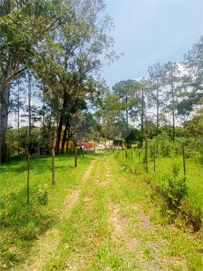 Venda Sítio Porto Feliz Área Rural De Porto Feliz REO806520 26