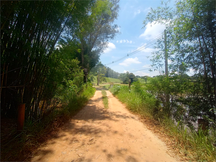 Venda Sítio Porto Feliz Área Rural De Porto Feliz REO806520 25