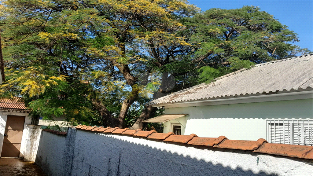 Venda Casa São Paulo Vila Ré REO806646 26