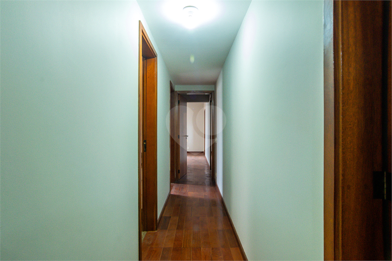 Foto REO806686