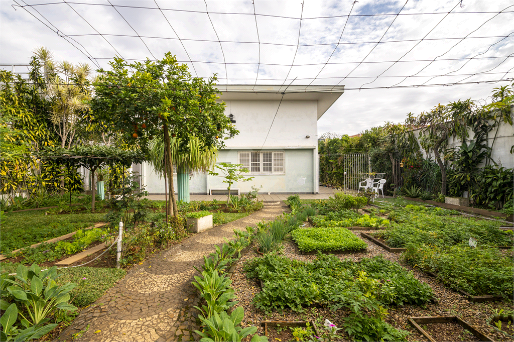 Venda Casa térrea São Paulo Planalto Paulista REO806691 2