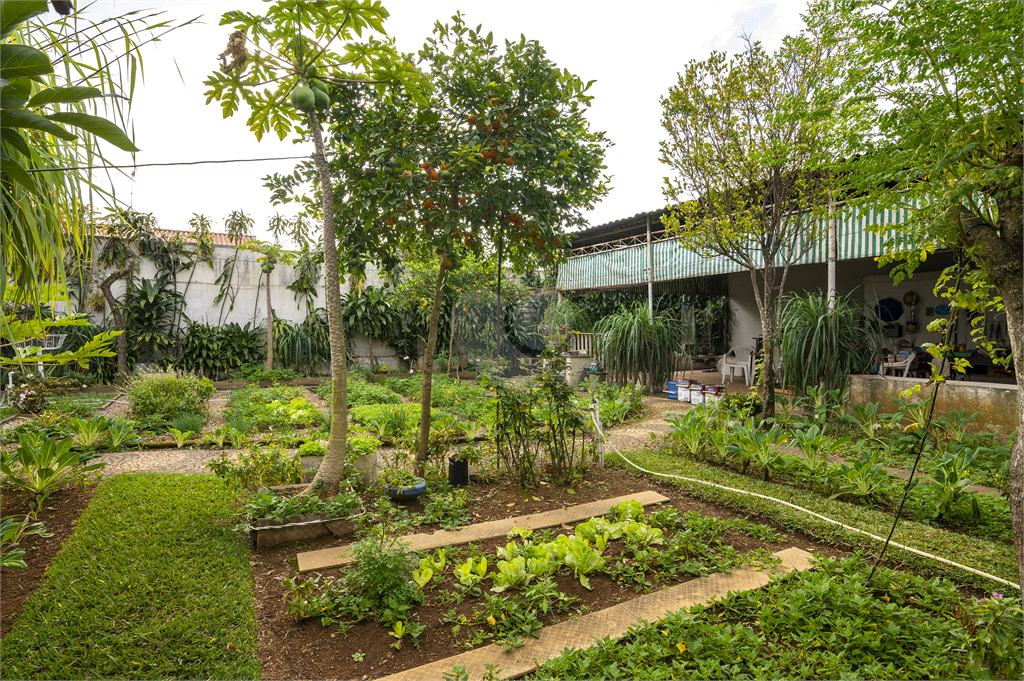 Venda Casa térrea São Paulo Planalto Paulista REO806691 34