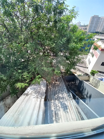 Foto REO806696
