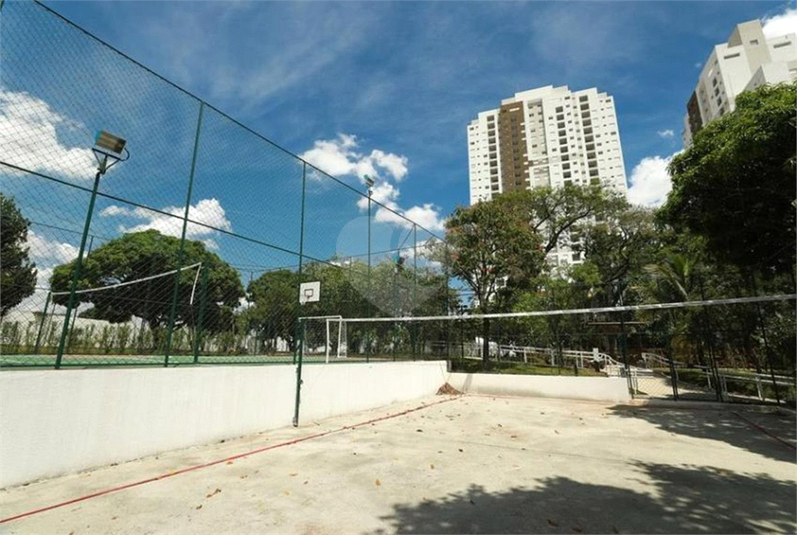 Foto REO806708