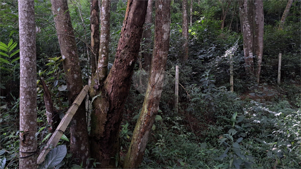 Venda Área de Terra Mairiporã Terra Preta (terra Preta) REO807392 7