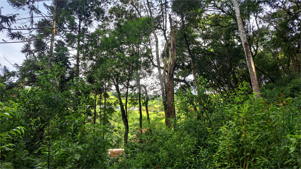 Venda Área de Terra Mairiporã Terra Preta (terra Preta) REO807392 6