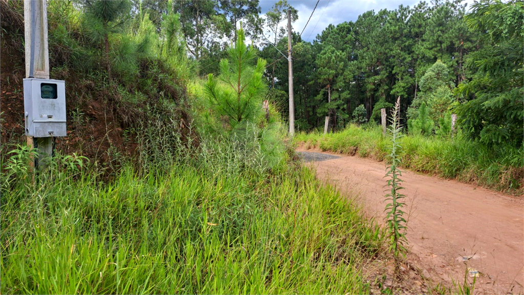 Venda Terreno Mairiporã Terra Preta (terra Preta) REO807467 5