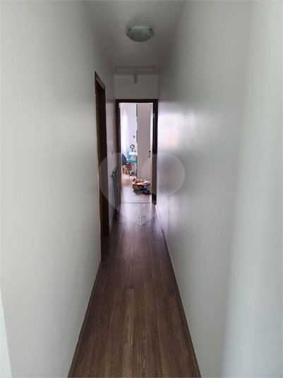 Foto REO807556