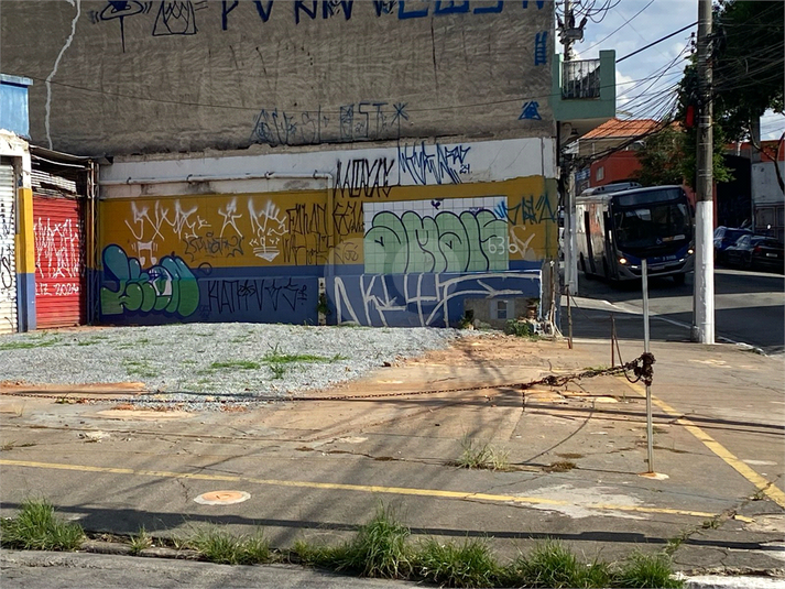 Foto REO807648