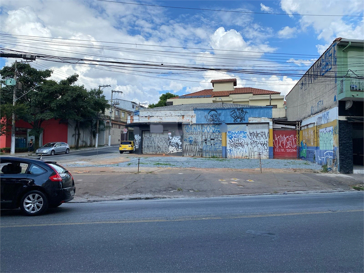 Foto REO807648