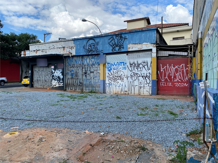 Foto REO807648