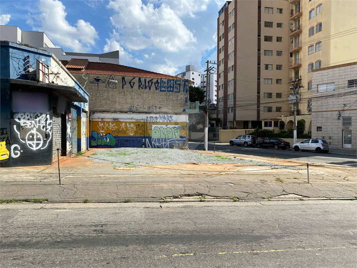 Foto REO807648