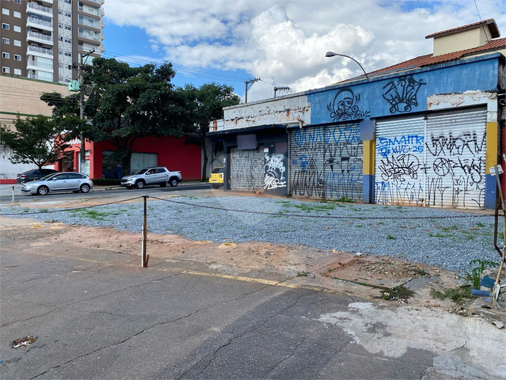 Foto REO807648