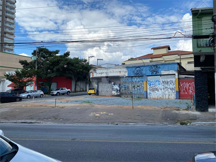 Foto REO807648