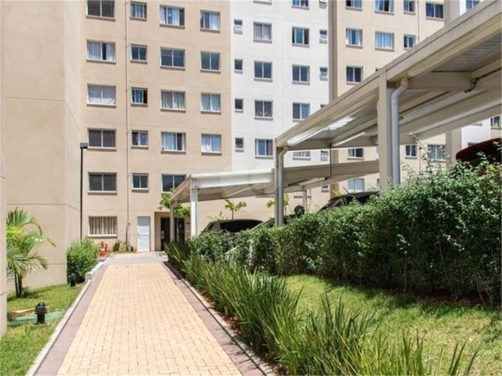 Venda Apartamento São Paulo Cambuci REO807792 13