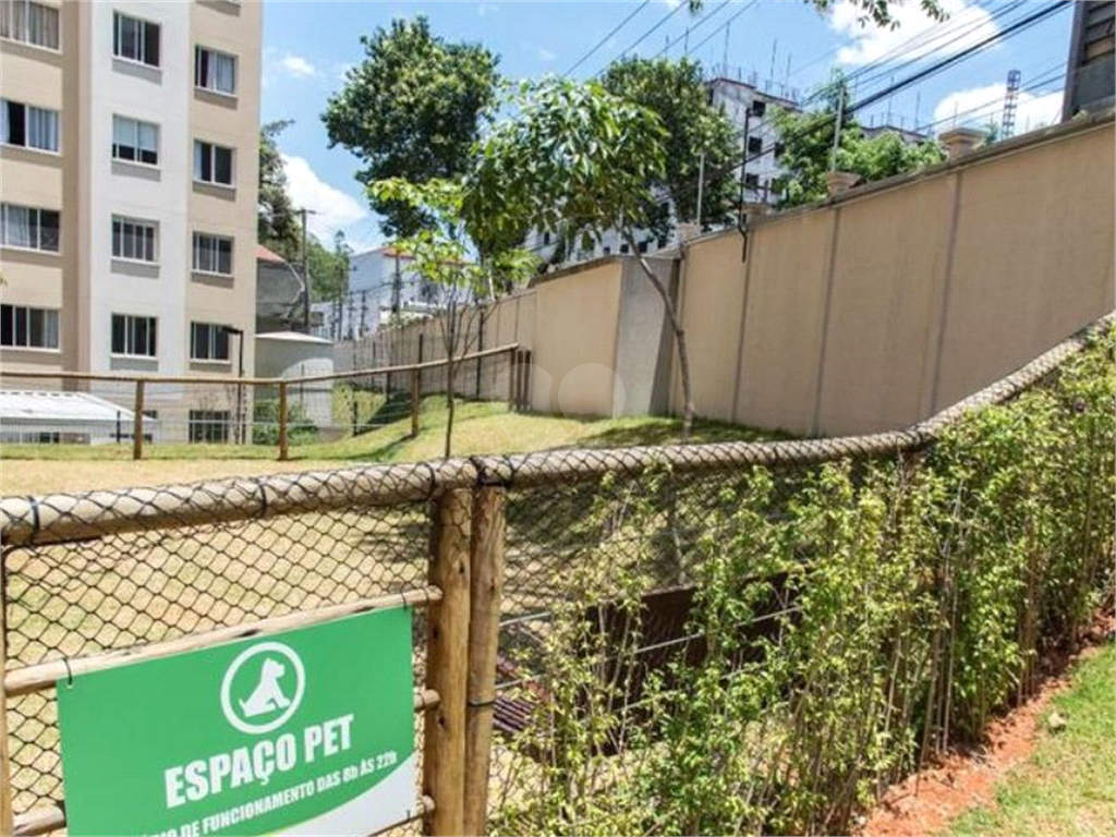 Venda Apartamento São Paulo Cambuci REO807792 10