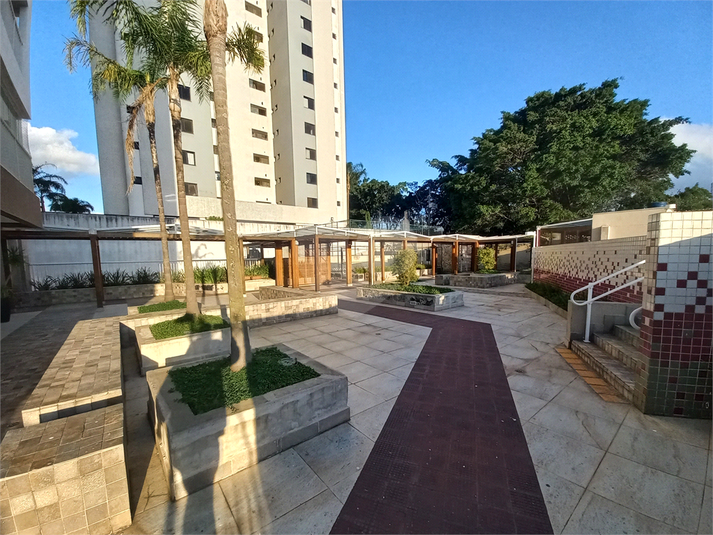 Foto REO807928