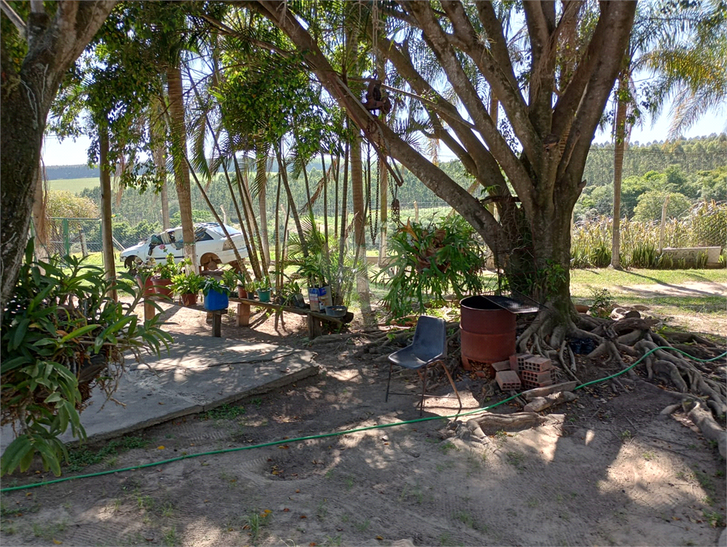 Venda Sítio Porto Feliz Área Rural De Porto Feliz REO808084 11