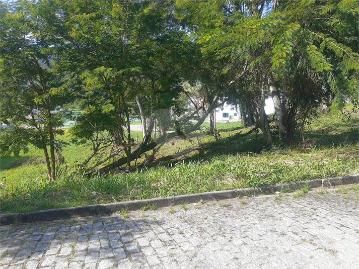 Foto REO808250