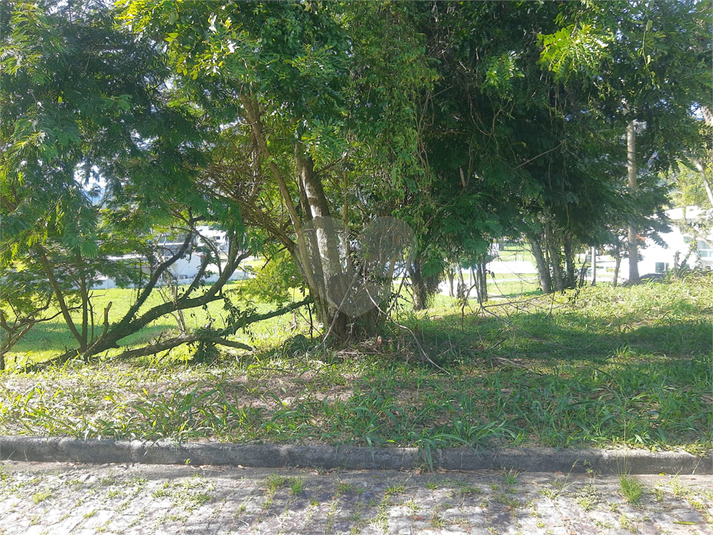 Foto REO808250
