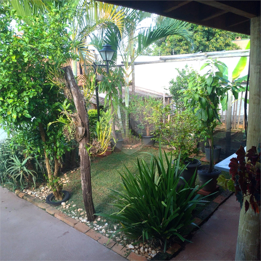 Foto REO808699