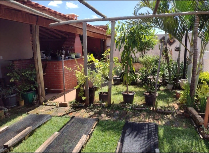 Foto REO808699