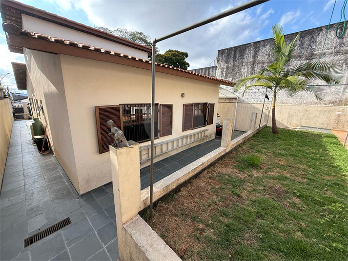Foto REO808736