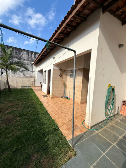 Foto REO808736
