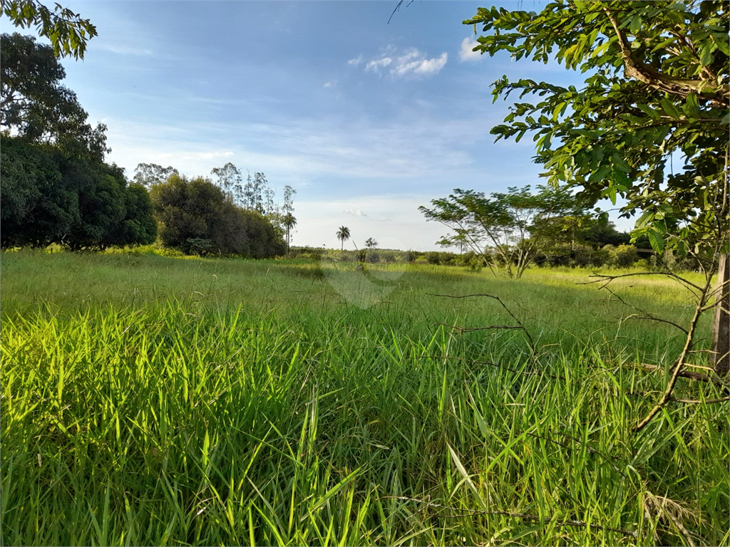 Venda Terreno Pirassununga Jardim Bandeirantes REO808932 9