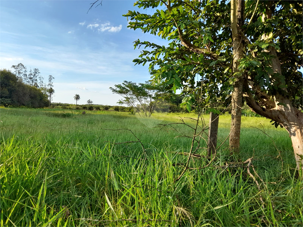 Venda Terreno Pirassununga Jardim Bandeirantes REO808932 8