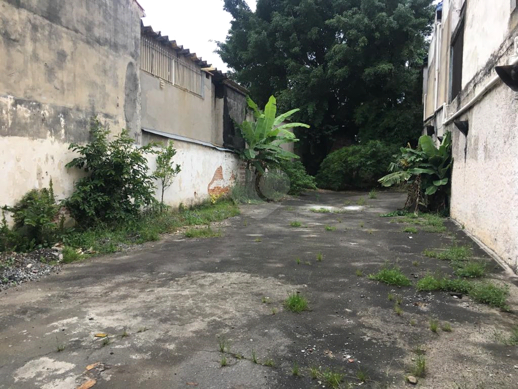 Venda Casa São Paulo Lapa De Baixo REO808977 15