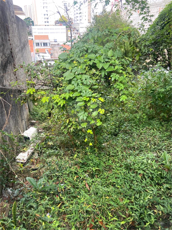 Venda Terreno São Paulo Vila Cachoeira REO809238 13