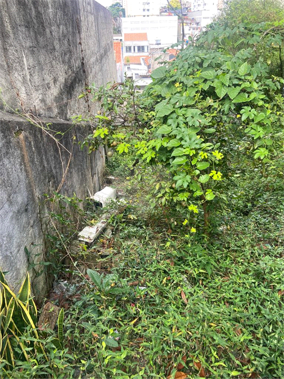 Venda Terreno São Paulo Vila Cachoeira REO809238 25